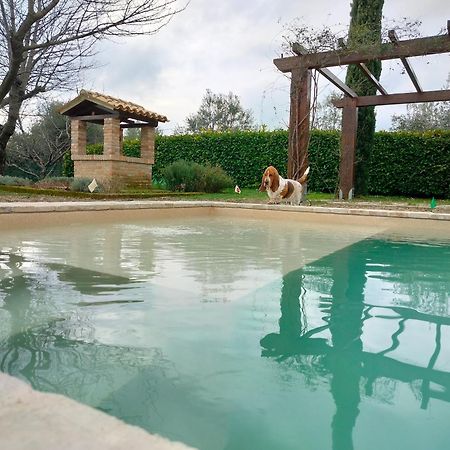 Ca' Le Cerque, Villa Surrounded By The Marche Nature Fossombrone Kültér fotó
