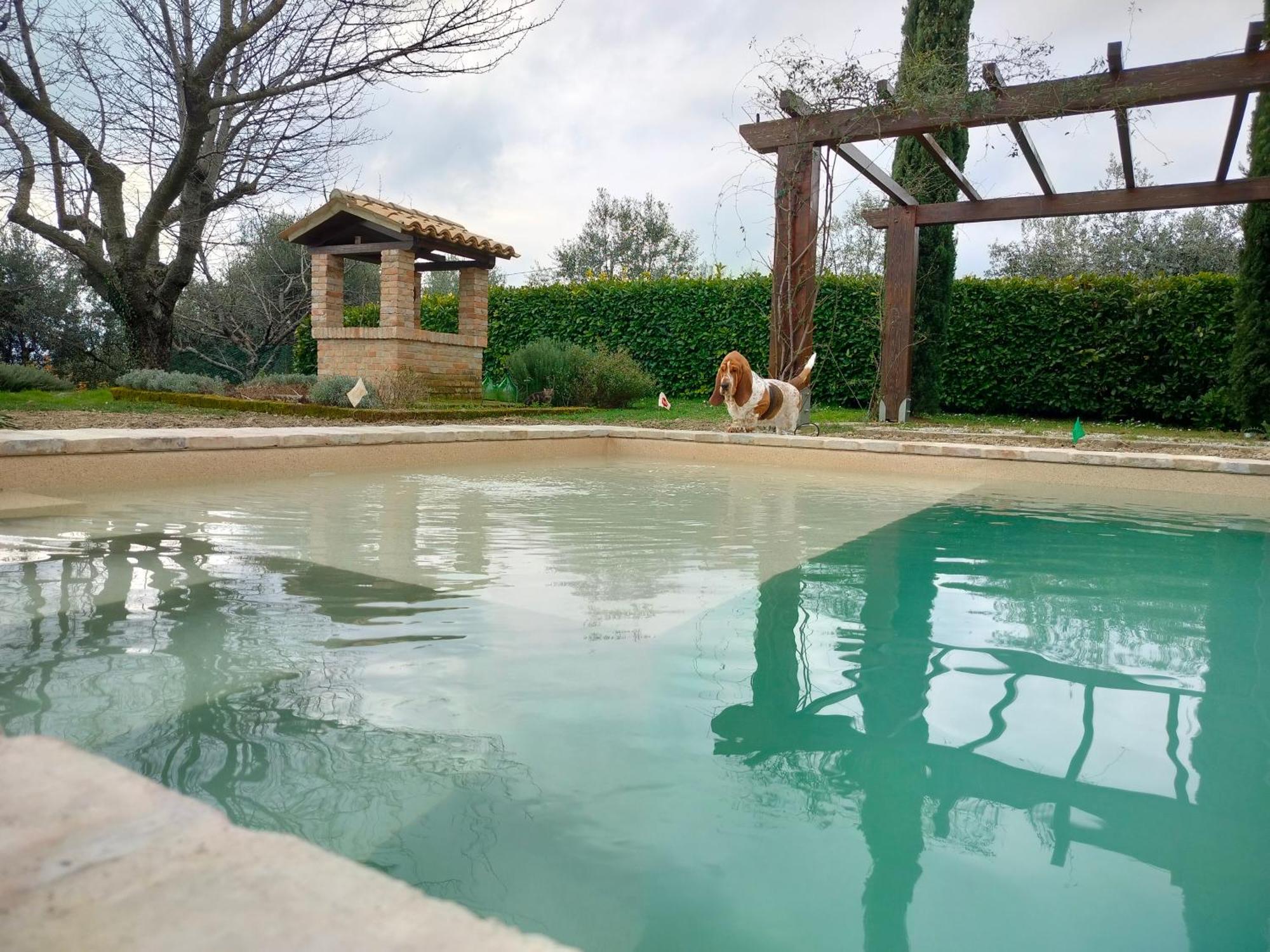 Ca' Le Cerque, Villa Surrounded By The Marche Nature Fossombrone Kültér fotó